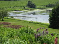 River from parking lot of PEI Preserve Co.