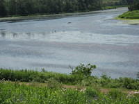 River from parking lot of PEI Preserve Co.