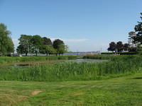 Little pond at Victoria Park Charlottetown