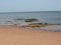 Rocks on beach