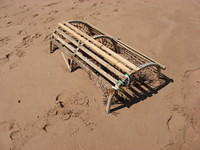 Lobster trap