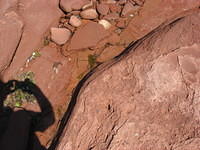 Trying to shoot little creatures in tidal pool, got my shadow