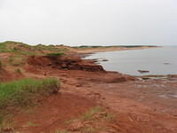 PEI National Park near Cavendish on a rainy overcast day