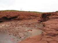 PEI National Park near Cavendish on a rainy overcast day