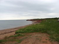 PEI National Park near Cavendish on a rainy overcast day