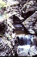 Watkins Glen