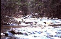 The narrows near Arendtsville Pa.